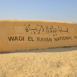 Wadi EL Rayan trip .. Prep.3 & Secondary stages